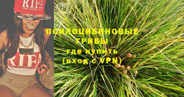 метадон Алексин