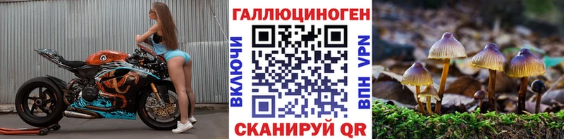 Галлюциногенные грибы GOLDEN TEACHER  купить наркоту  Опочка 