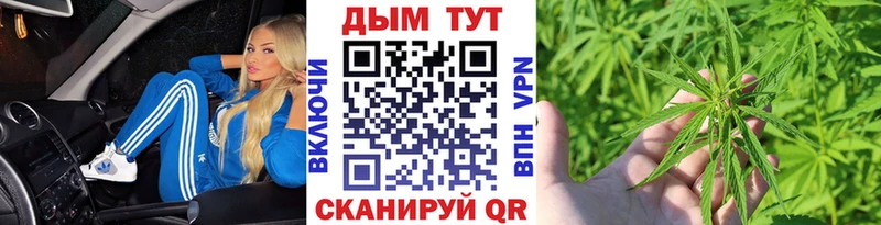 Конопля конопля Опочка